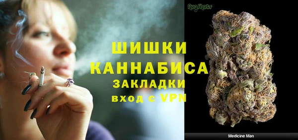 шишки Богородицк