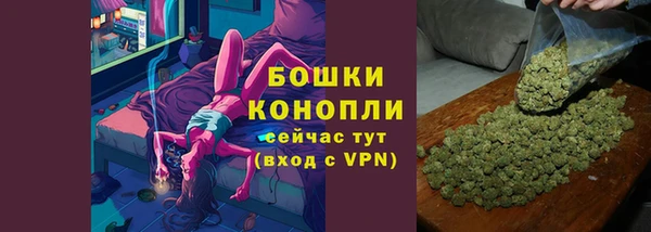 шишки Богородицк