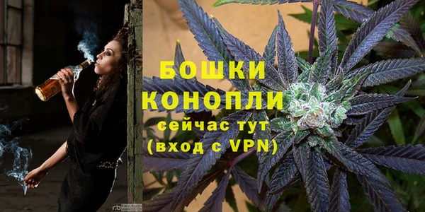 шишки Богородицк