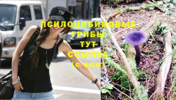 шишки Богородицк