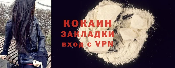 шишки Богородицк