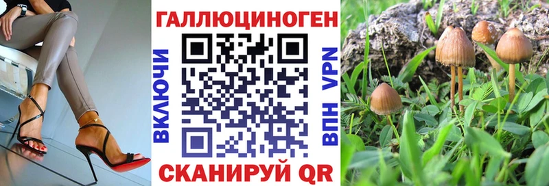 Псилоцибиновые грибы MAGIC MUSHROOMS  mega   Минеральные Воды  наркота 