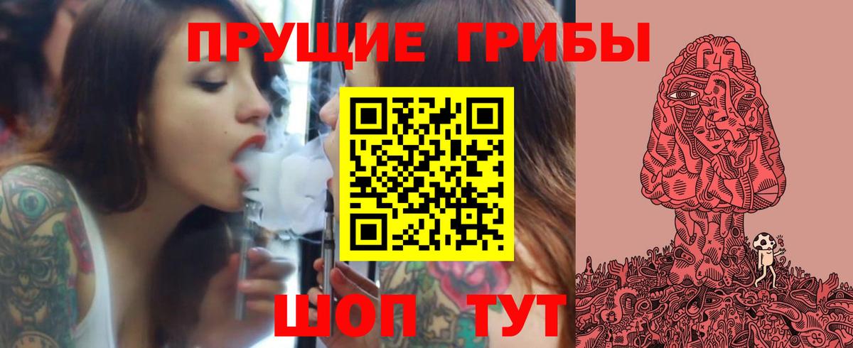 Минеральные Воды  Псилоцибиновые грибы прущие грибы  Вход с VPN 