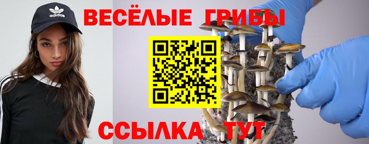 Минеральные Воды  Амфетамин   Меф МЯУ МЯУ  Где купить наркотики?  Меф МЯУ МЯУ   Вход с VPN  Кокаин  ГАШ 
