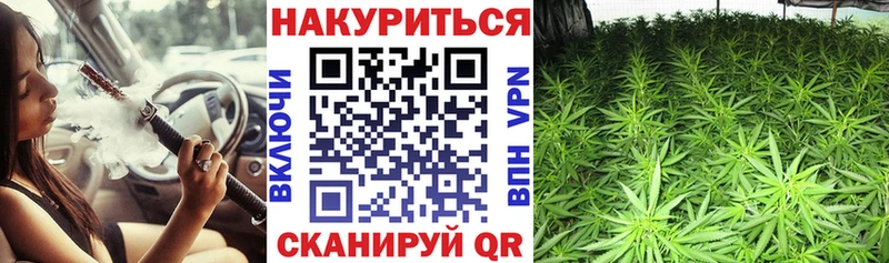 Канабис индика  Минеральные Воды 